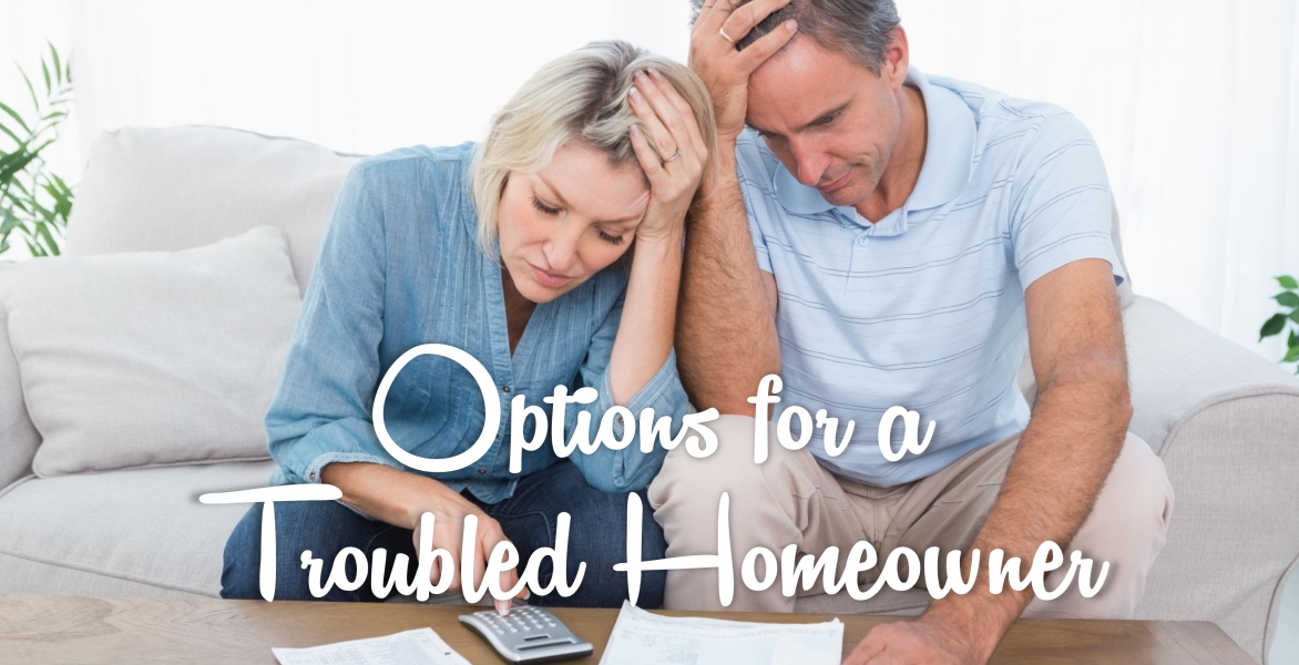 CE - Options for a Troubled Homeowner  