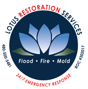 Lotus Restoration Services